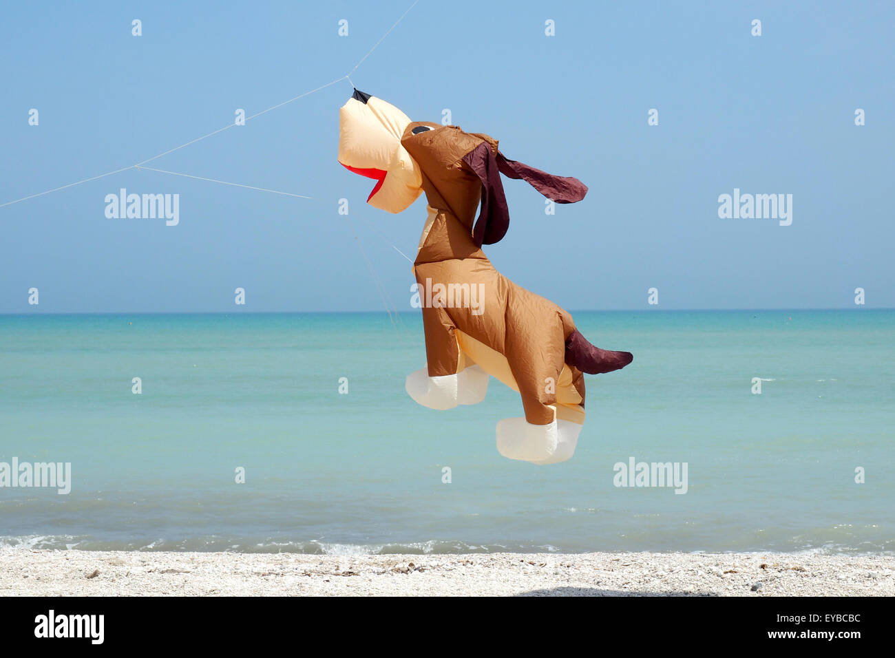 Hund geformte Drachen fliegen über einem Strand. Stockfoto
