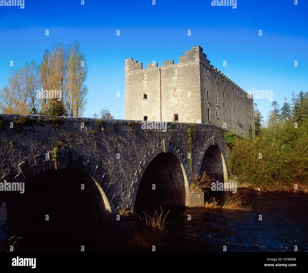 Milford Mühlen, Co Carlow, Irland; Mühle aus dem 19. Jahrhundert (einer der ersten, die Stromerzeugung In Irland) Stockfoto