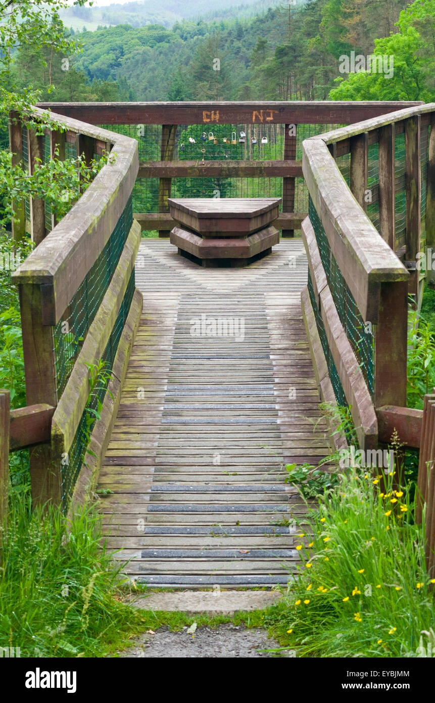 Glen von der Bar, Galloway Forest Park, Dumfries & Galloway, Schottland, UK Stockfoto