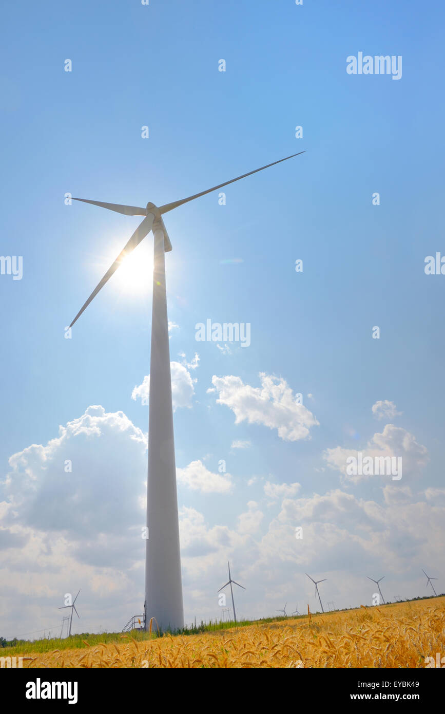 Windkraftanlagen im Windfeld Bauernhof Stockfoto