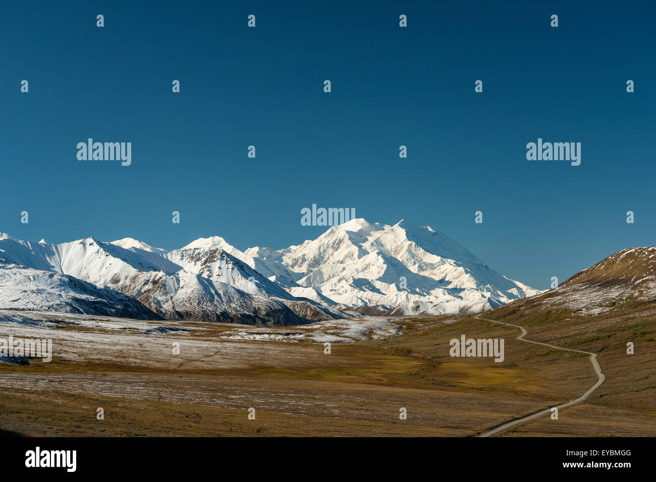 Remote-Straße, Mount McKinley Denali Nationalpark, Alaska Stockfoto