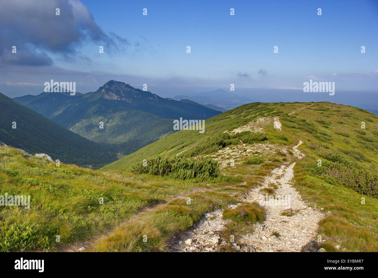 Bergpfad in der westlichen Tatra, Slowakei Stockfoto