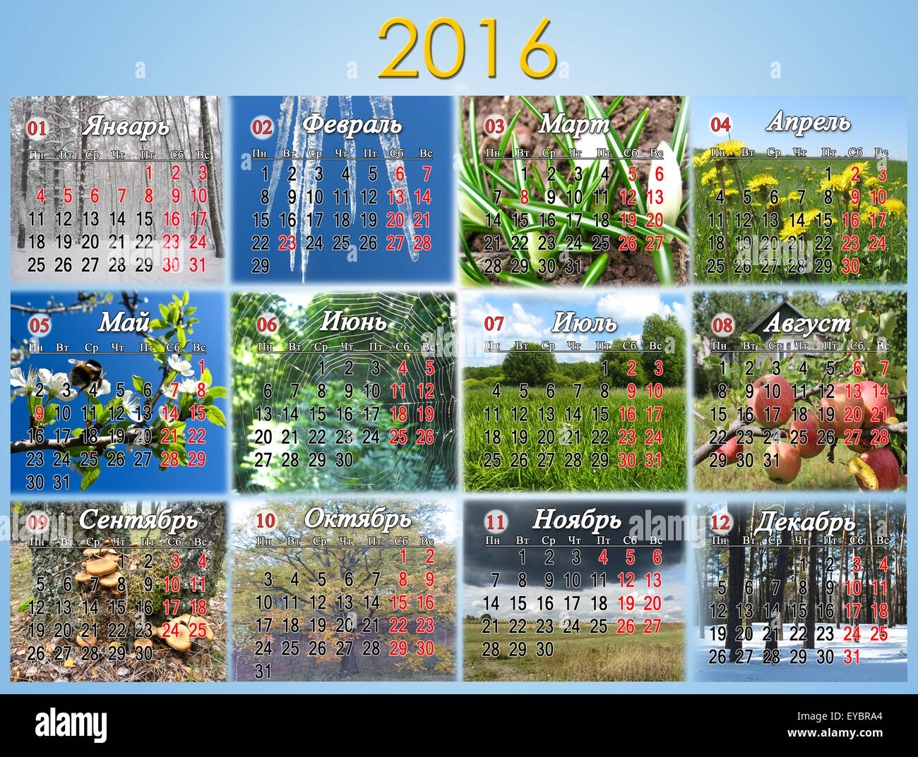 Kalender für das Jahr 2016 in russischer Sprache mit Foto der Natur für jeden Monat. Kalender mit russischen nationalen Feiertagen. Stockfoto