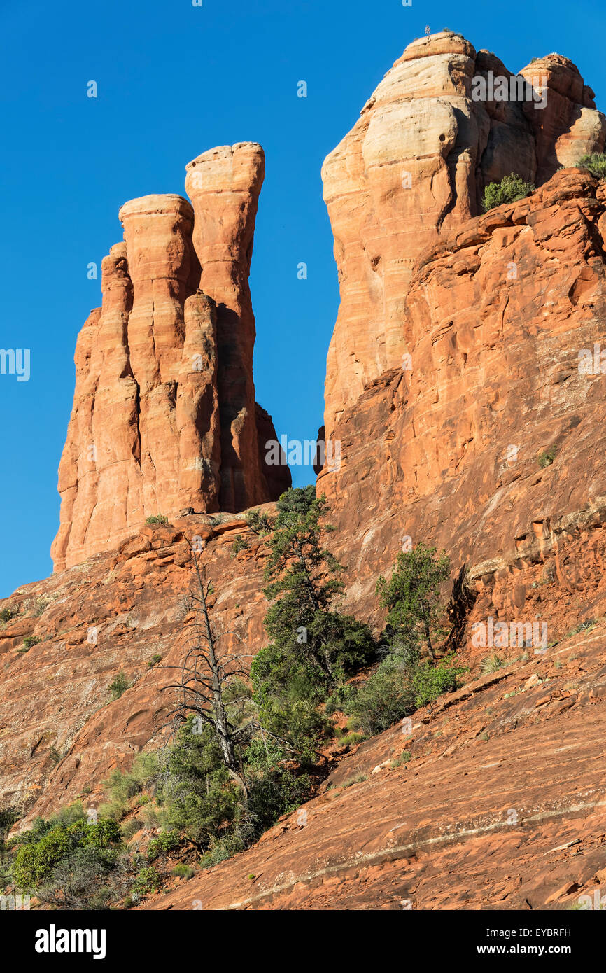 Cathedral Rock, Sedona, Arizona Stockfoto