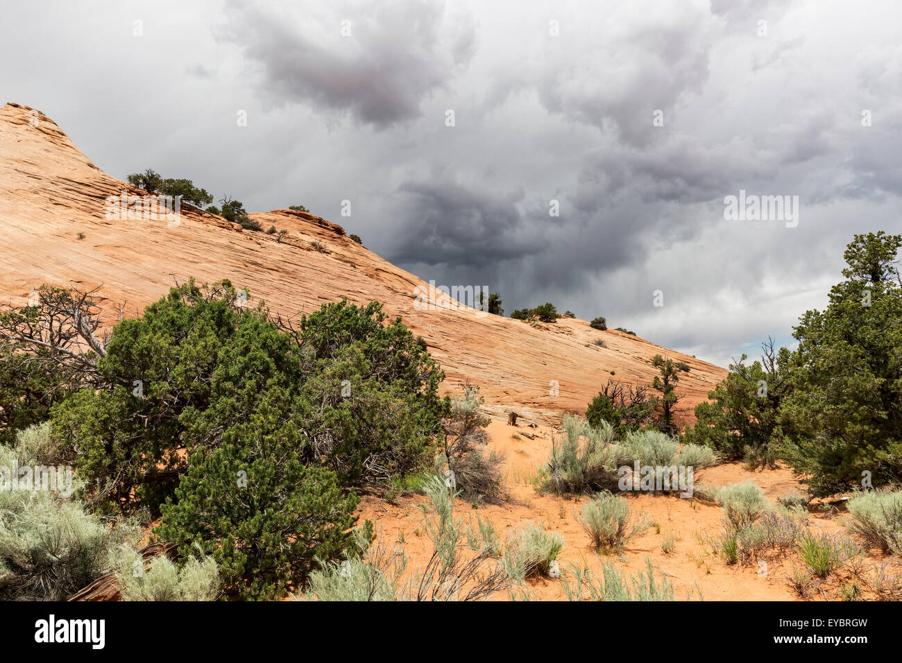 Regen im Grand Staircase-Escalante National Monument, Utah Stockfoto