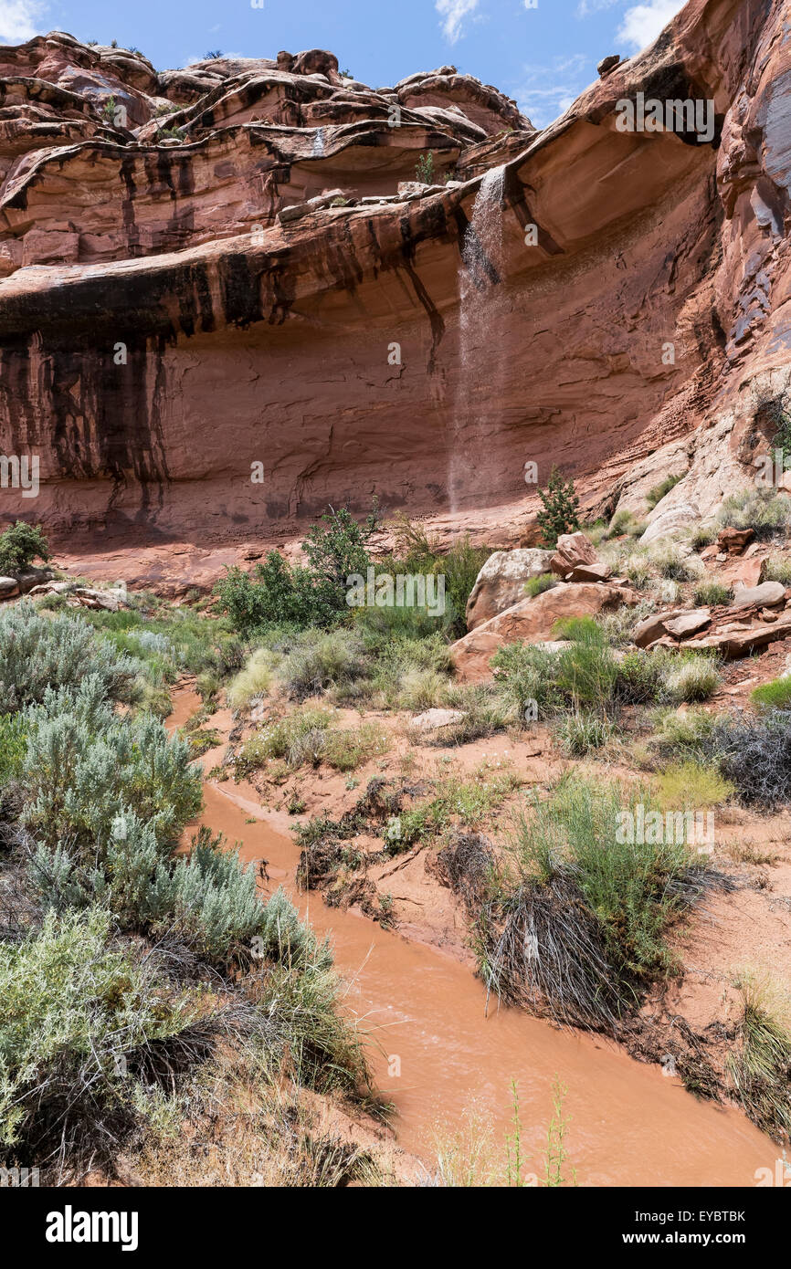 Canyon Abfluss nach Sturm, Moab, Utah Stockfoto