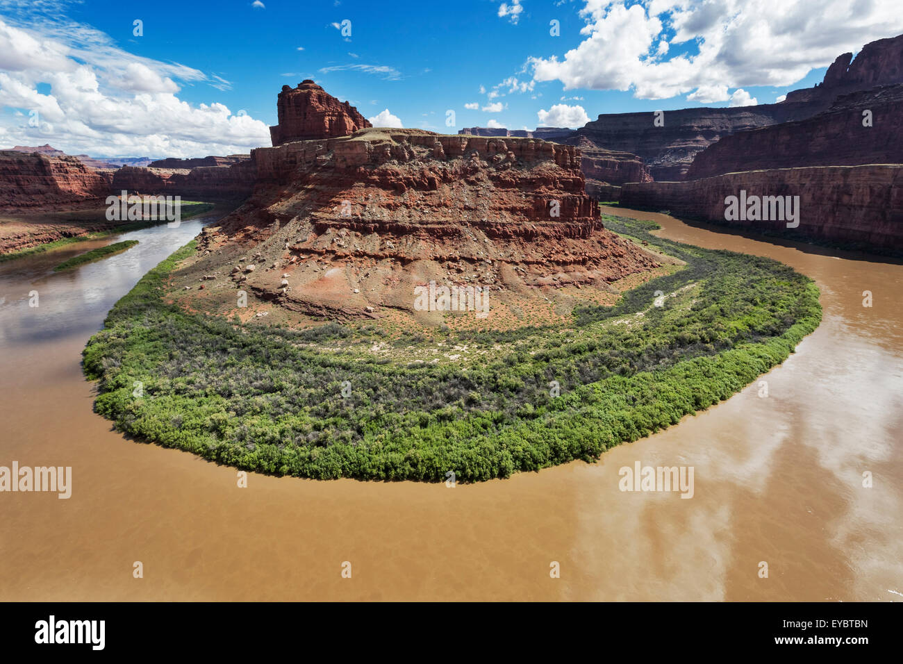 Schwanenhals im Colorado River, Canyonlands National Park, Moab, Utah Stockfoto