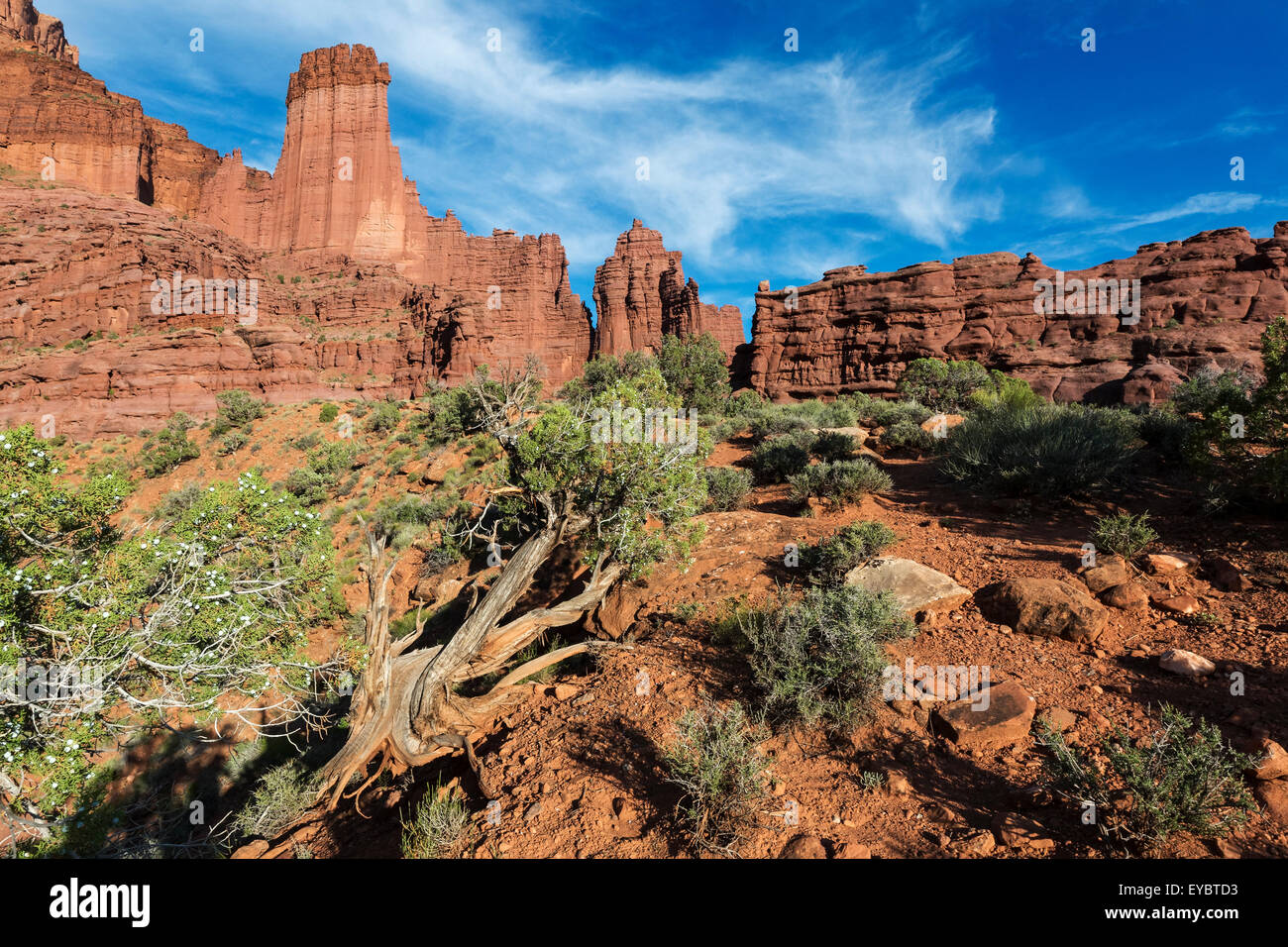 Fisher Towers, Moab, Utah Stockfoto