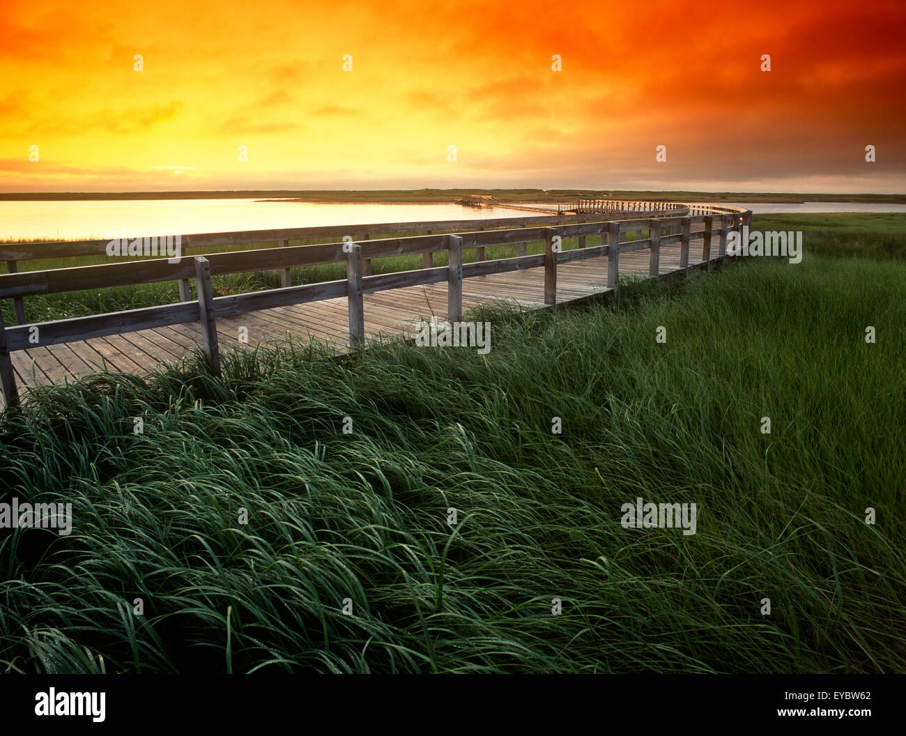 Nordamerika, Kanada, Maritimes, New Brunswick, Kouchibouguac National Park, Maritime Plain Naturraum, Sonnenaufgang, Promenade Stockfoto