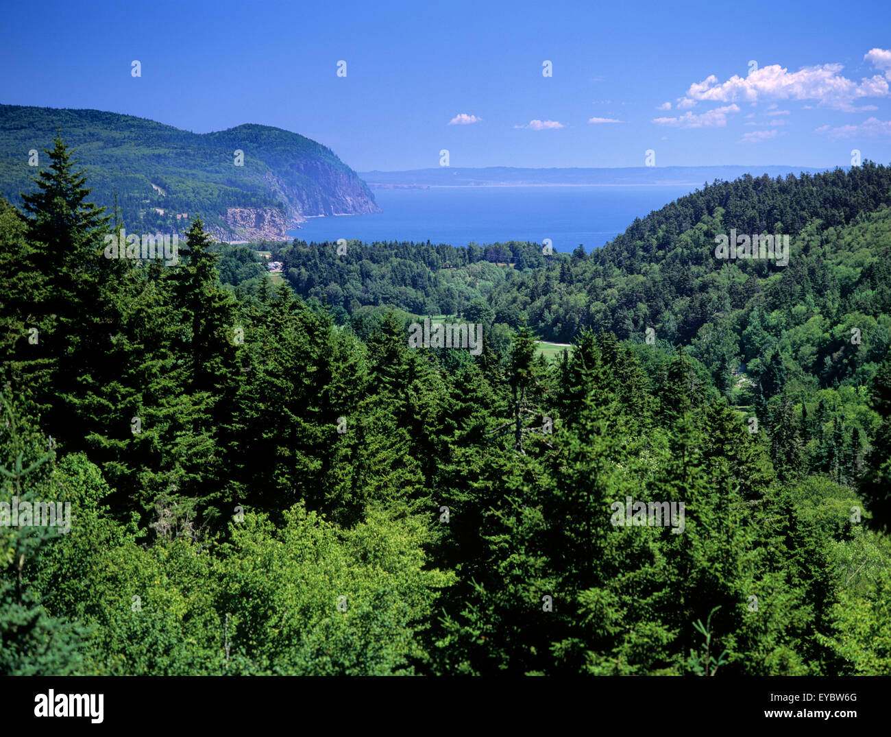 Nordamerika, Kanada, Maritimes, New Brunswick, Fundy Nationalpark Stockfoto