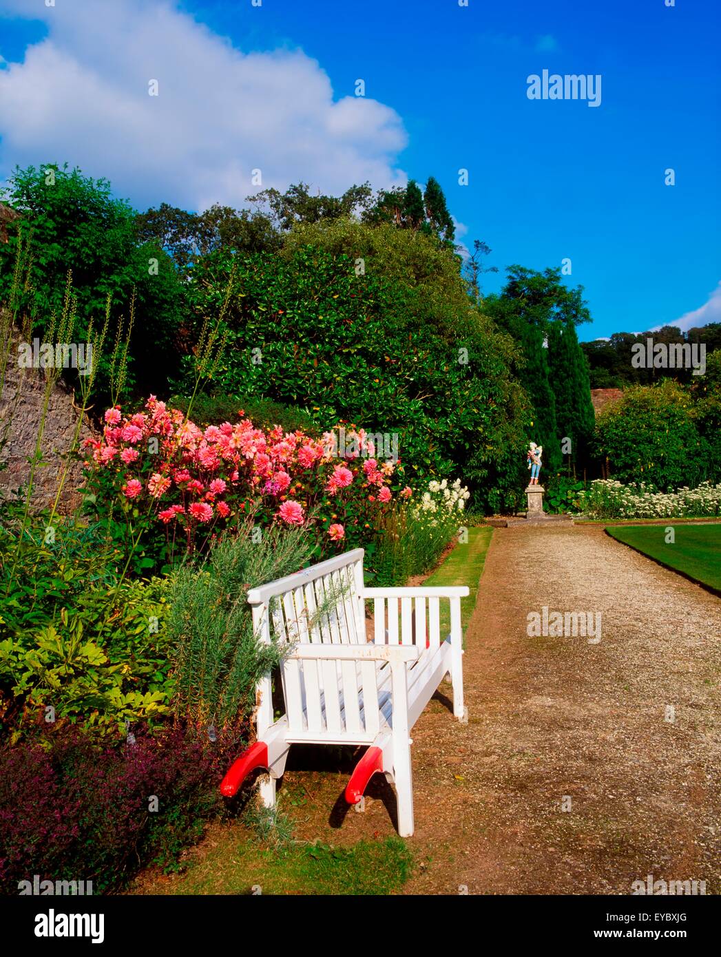 Mount Congreve Gardens, Co Waterford, Irland; Dahlien im ummauerten Garten Stockfoto