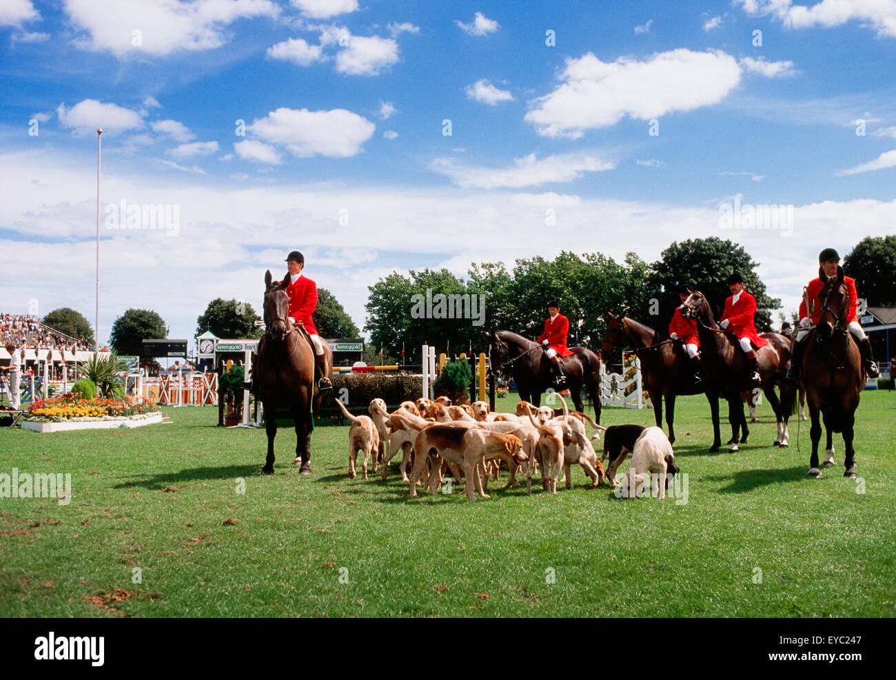 RDS-Horse Show, Dublin, Co. Dublin, Irland; Jäger und ihre Hunde bei einer Pferdeshow Stockfoto