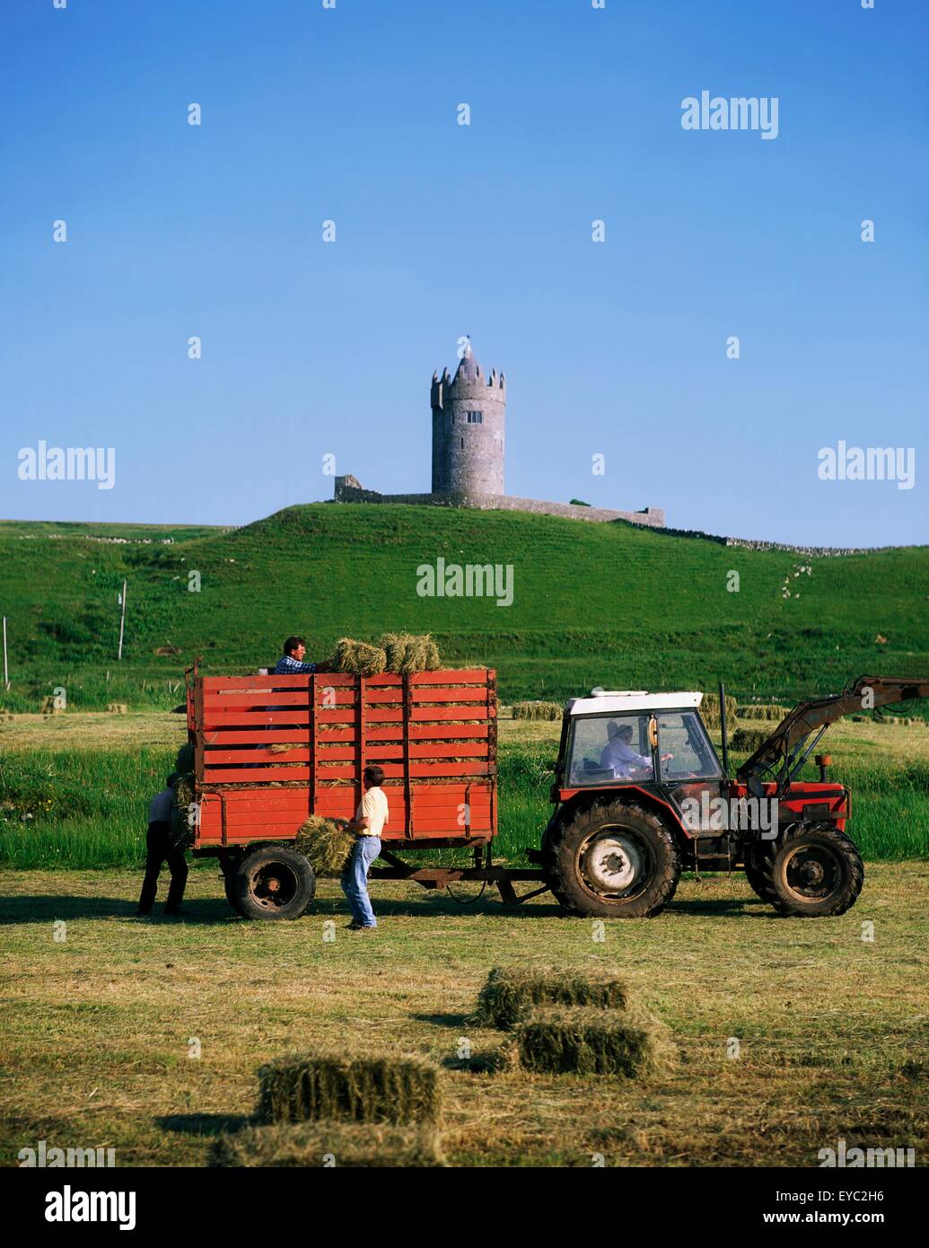 Heuernte, Ballynalacken Burg, Co Clare, Irland Stockfoto