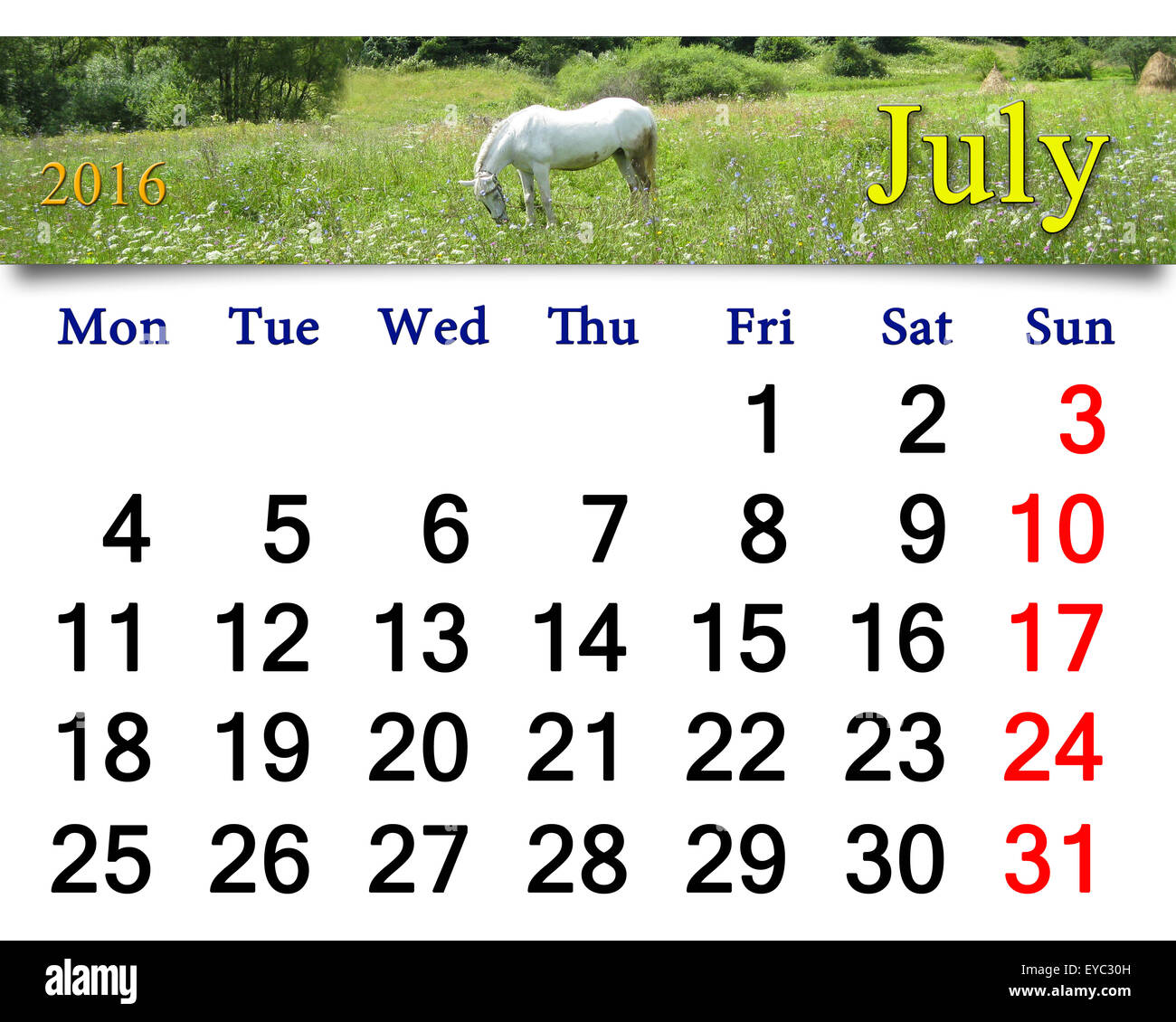 Kalender für Juli 2016 auf dem Hintergrund der Sommerlandschaft Stockfoto