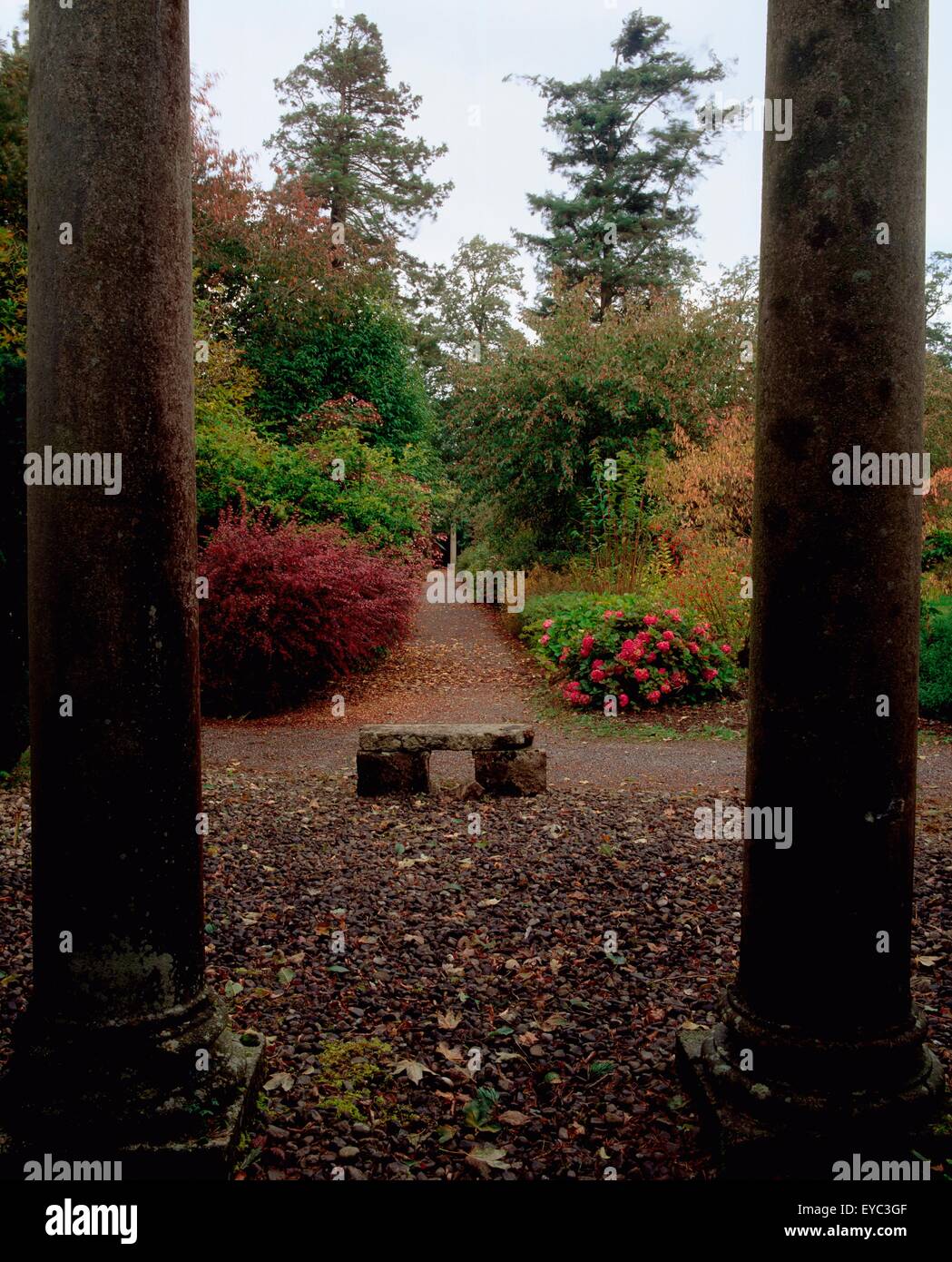 Coolcarrigan, Co Kildare, Irland; Dorischen Säulen und Steinbank im Herbst Stockfoto