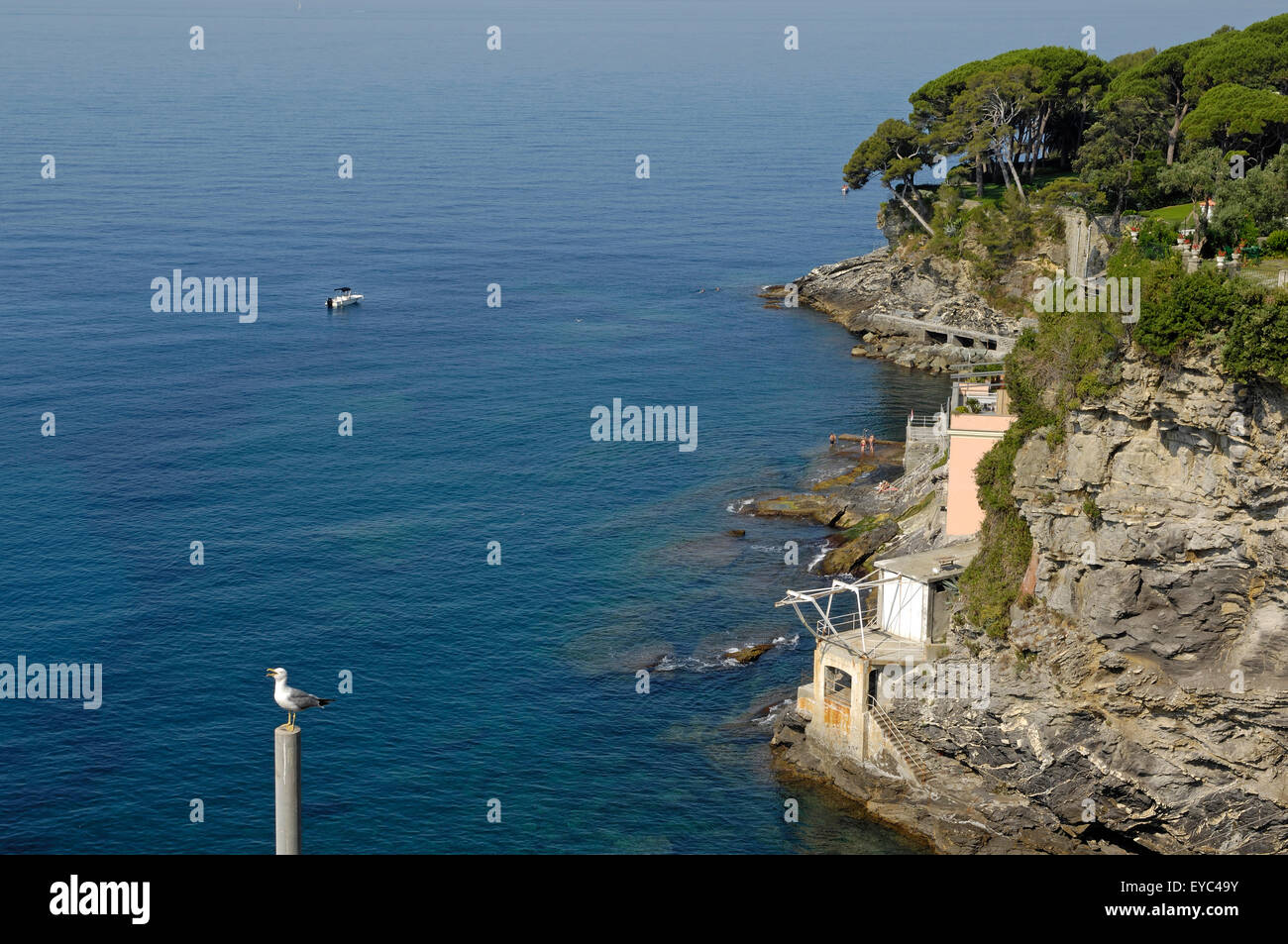 einen Einblick in die wilde Küste Liguriens in der Nähe von Pieve Ligure Stockfoto