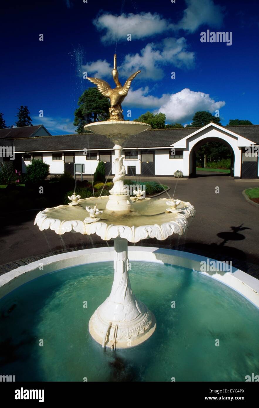 Tully, County Kildare, Irland; Sonnenwagen Hof der Irish National Stud Gesellschaft Stockfoto