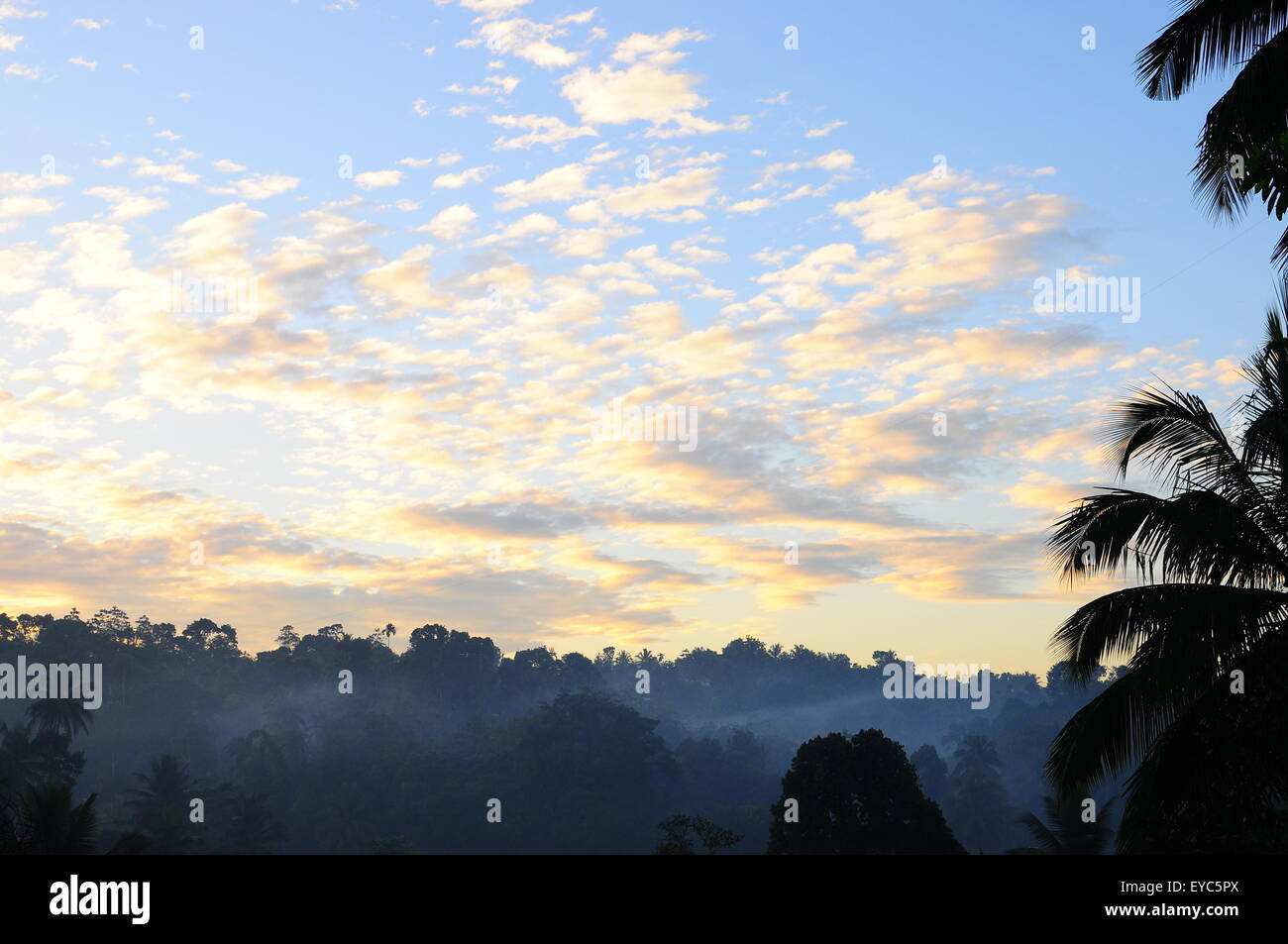 Morgenhimmel und Dschungel, Kandy, Sri Lanka, Asien Stockfoto