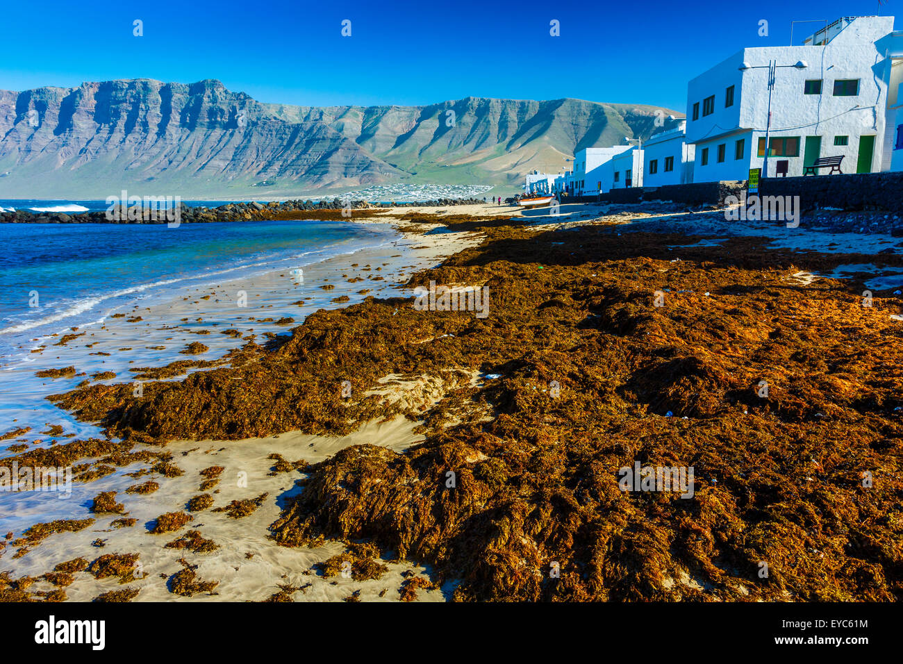 Strand und Dorf. Caleta de Famara, Lanzarote, Kanarische Inseln, Spanien, Europa. Stockfoto