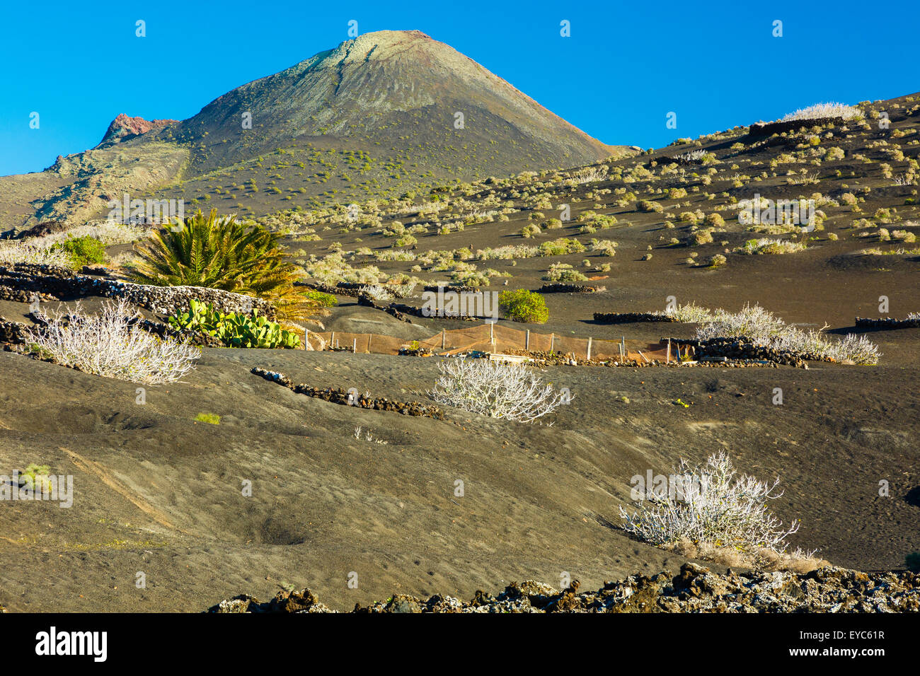 Timanfaya Nationalpark. Lanzarote, Provinz Las Palmas, Kanarische Inseln, Spanien, Europa. Stockfoto