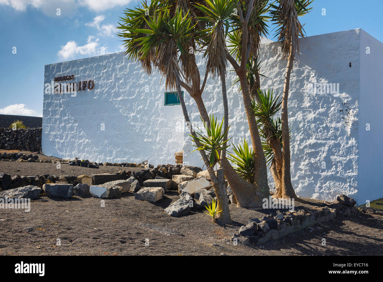 El Grifo Weinkeller. San Bartolome, Lanzarote, Kanarische Inseln, Spanien, Europa. Stockfoto
