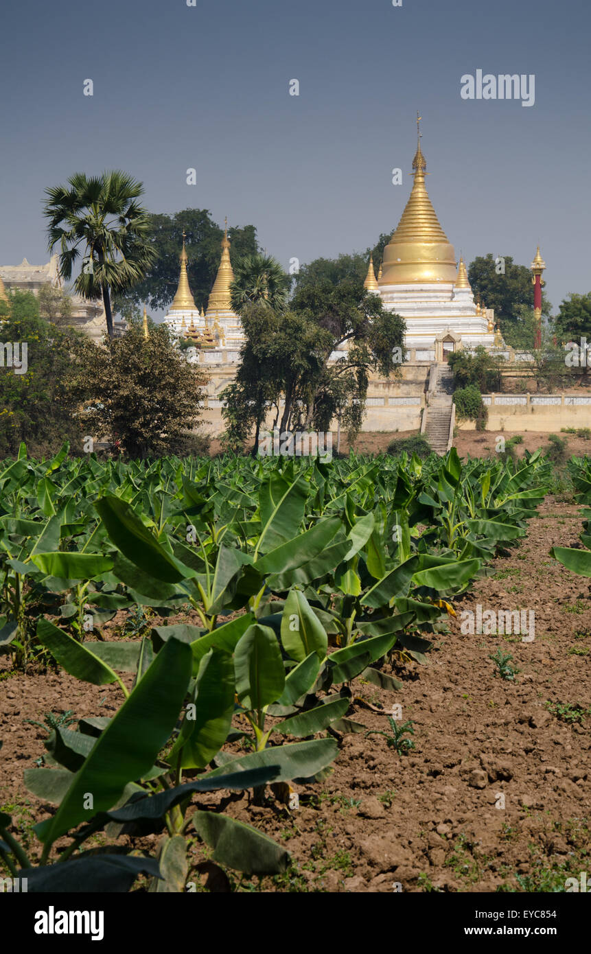 Inwa Tempel in Ackerland, Inwa, Myanmar Stockfoto