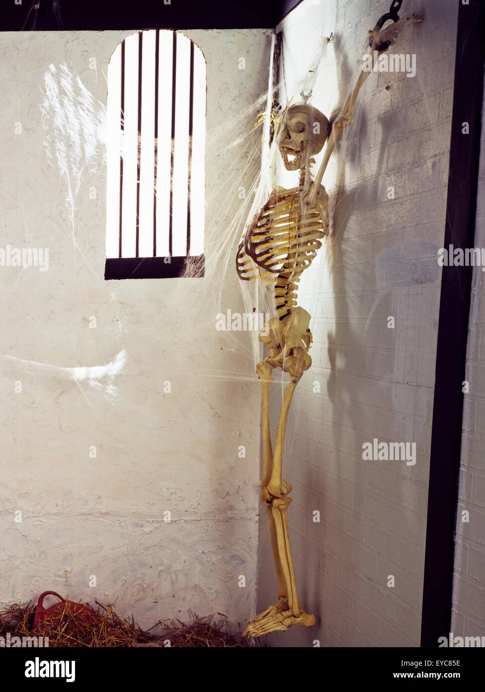 Skelett In Ketten, Gefängnis, Irland Stockfoto