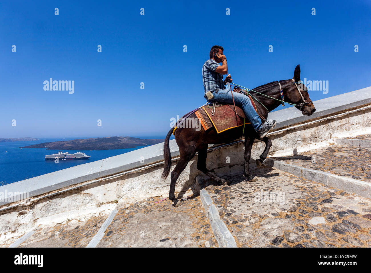 Mann reitet Esel Mann, der telefoniert Santorini Eselpfad, Thira Santorini, Griechenland Kykladen, Griechenland Inseln Europa Stockfoto