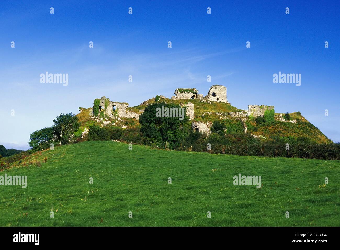 Co. Laois, Dunamase Schloss Stockfoto