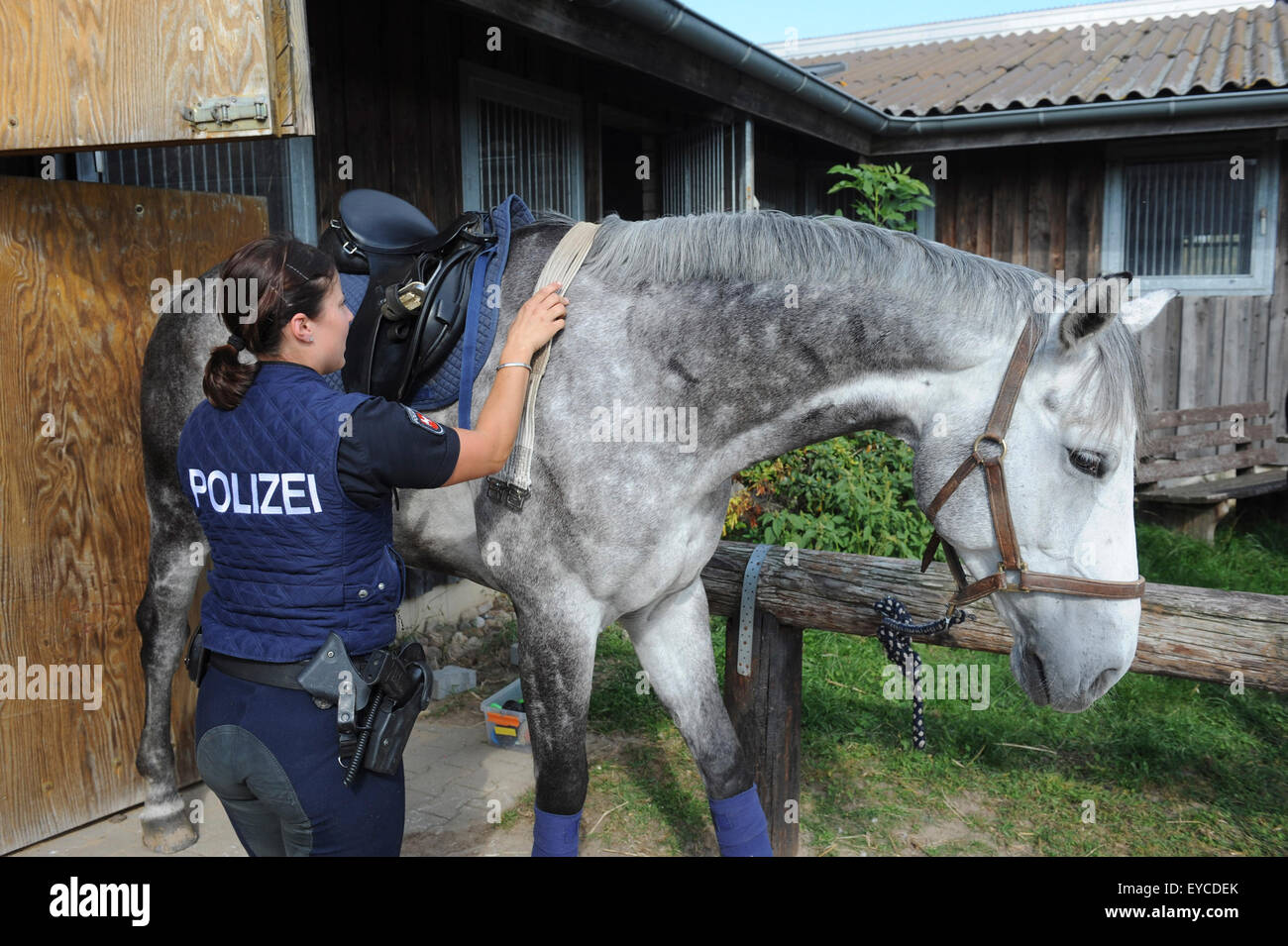 Dannenberg, Deutschland, Polizisten, satteln ihr Pferd Stockfoto