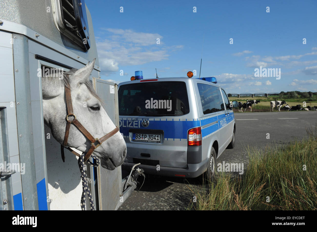 Dannenberg, Deutschland, Polizisten auf dem Weg nach Niedersachsen "Biosphäre Elbtalare Stockfoto