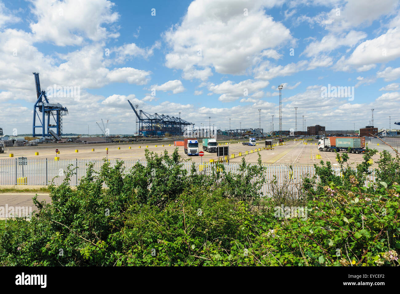 Felixstowe Containerhafen. Stockfoto