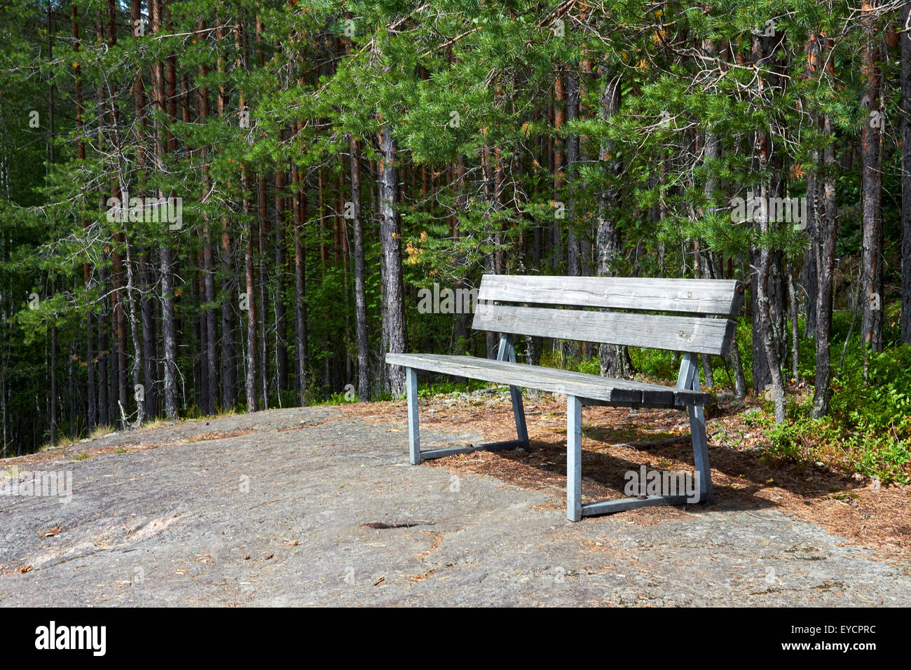 alte Bank im Wald, Finnland Stockfoto