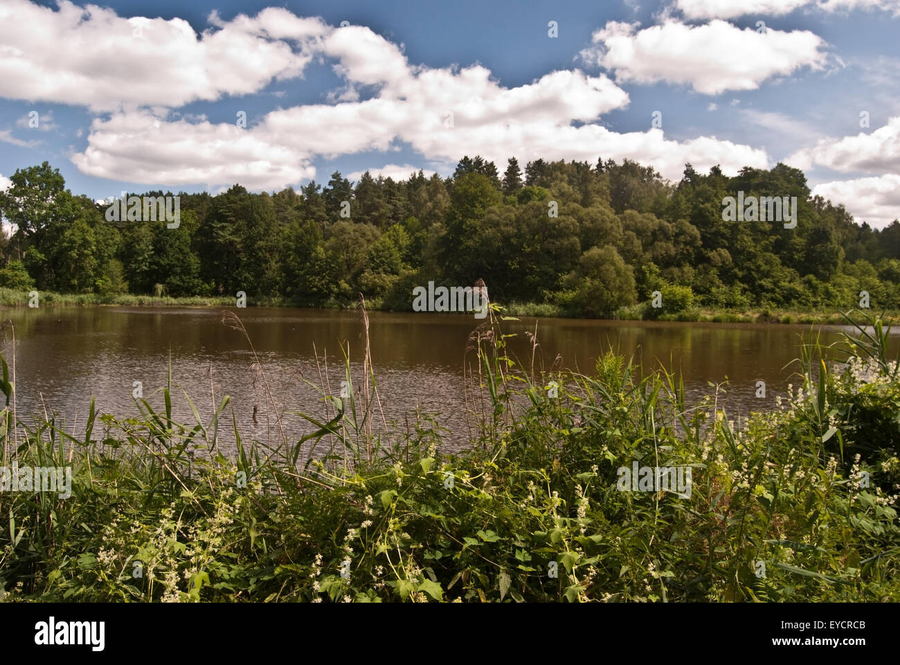 Polen natur Fotos und Bildmaterial in hoher Auflösung Alamy