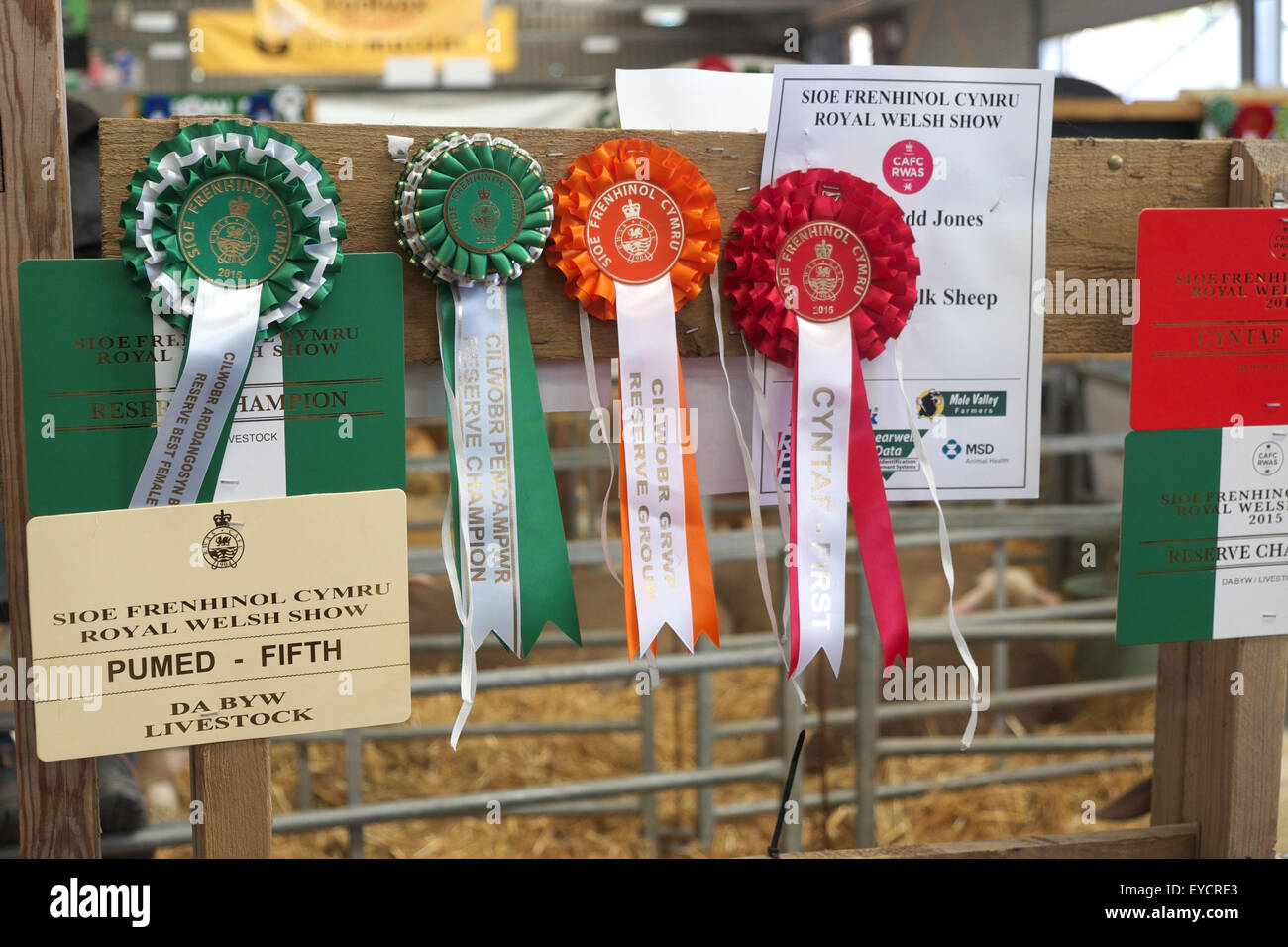 Royal Welsh Show Preis gewinnende Rosetten in das Tier Schuppen Wales UK Stockfoto