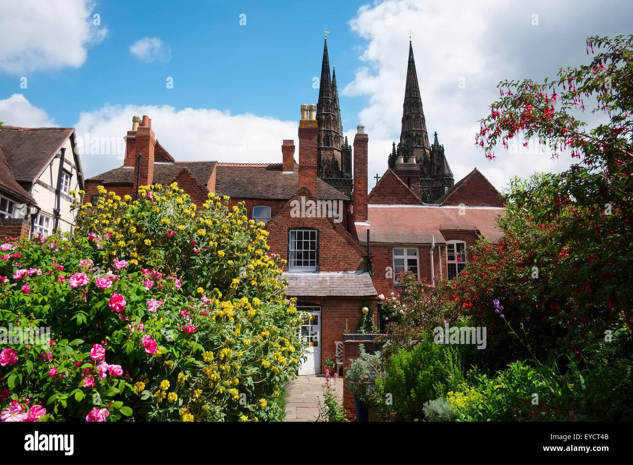 Kathedrale von Lichfield aus den Garten von Erasmus Darwin House, Lichfield, Staffordshire, England, UK Stockfoto