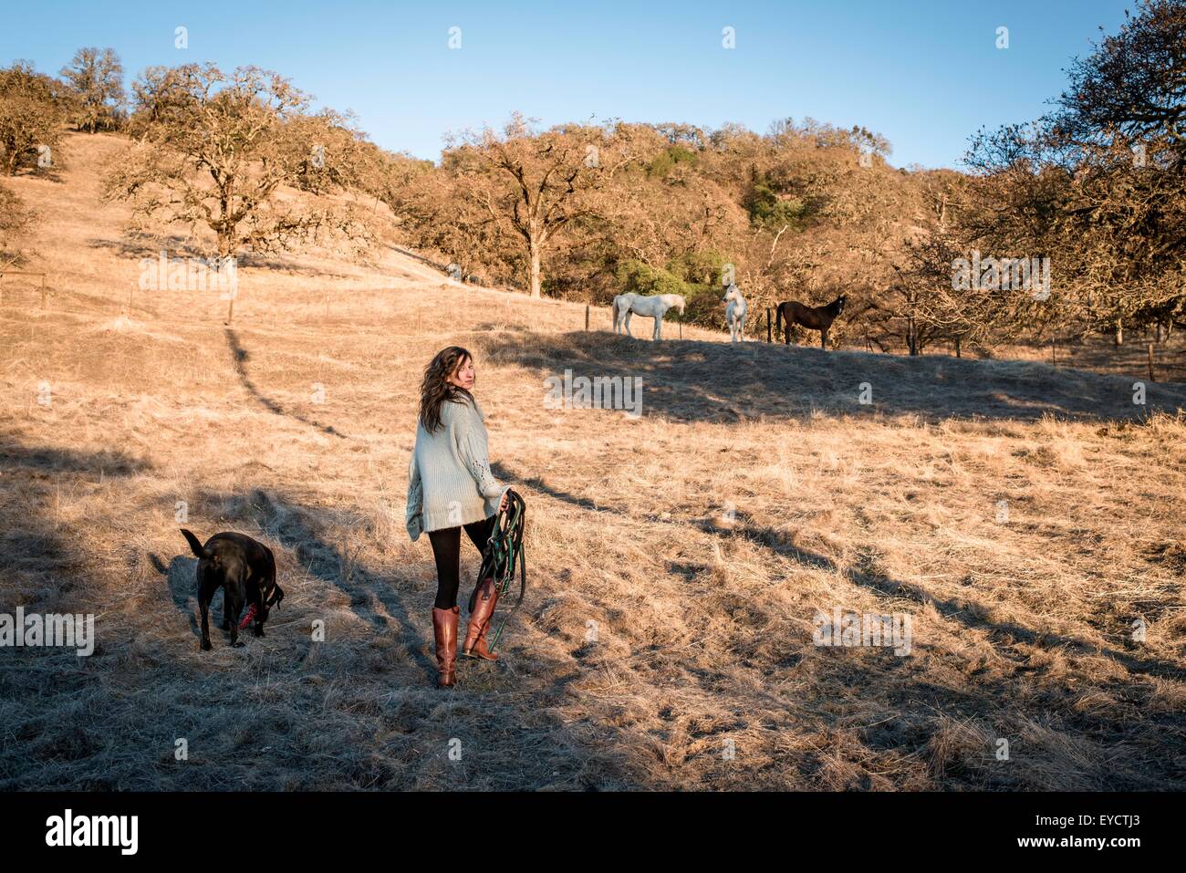 Junge Frau und Hund spazieren tragen Pferdenheftzwecke Feld Stockfoto
