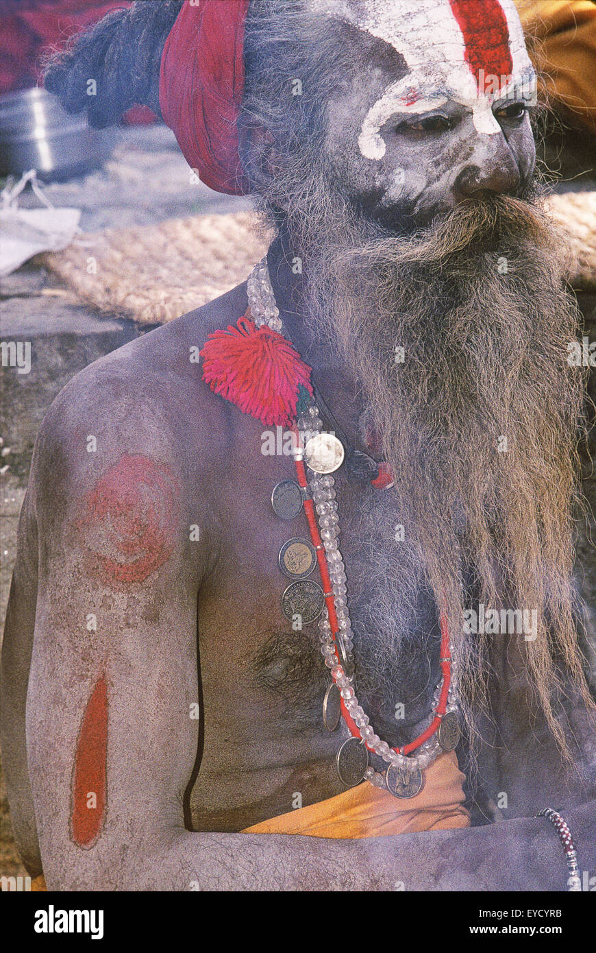 Porträt eines heiligen Mannes, Pashupatinath, Katmandu, Nepal, Asien Stockfoto