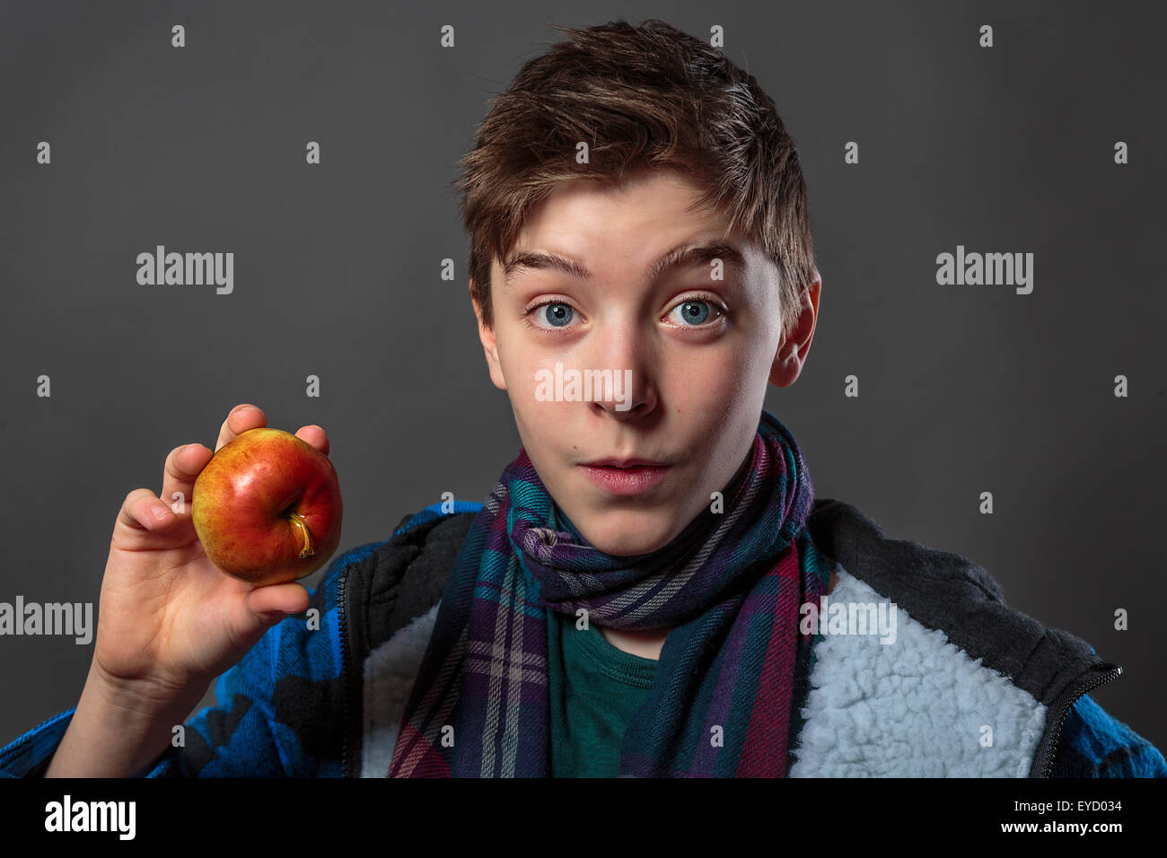 Porträt eines männlichen Jugendlichen Essen eines Apfels mit Winterjacke, isoliert auf grau Stockfoto