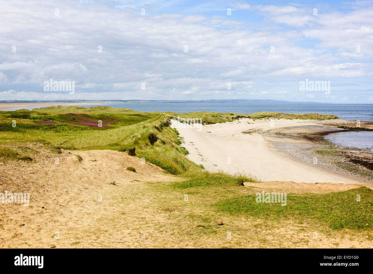 Buchten Haven Beach auf Holy Island Stockfoto