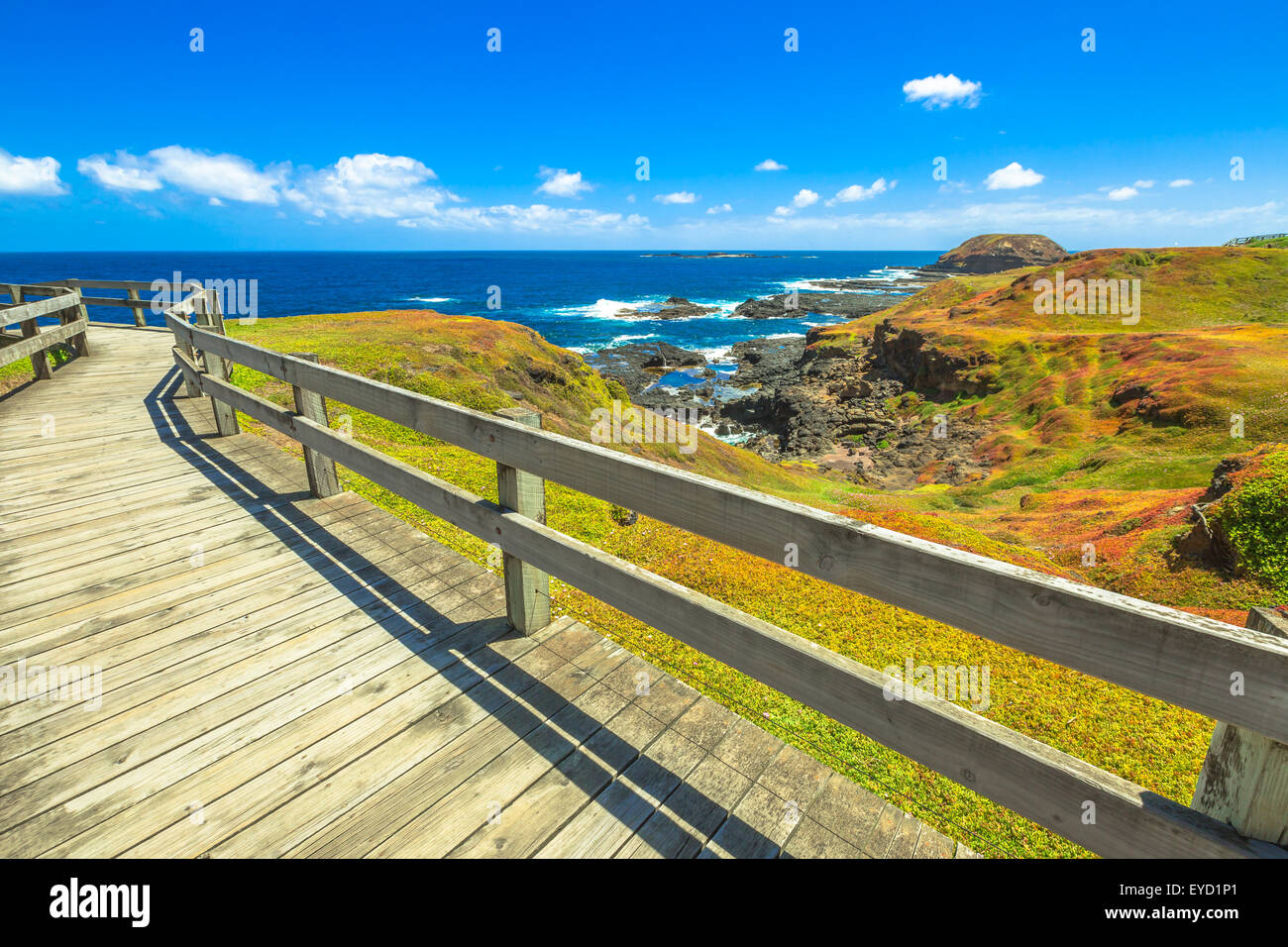 Phillip Island-Victoria Stockfoto