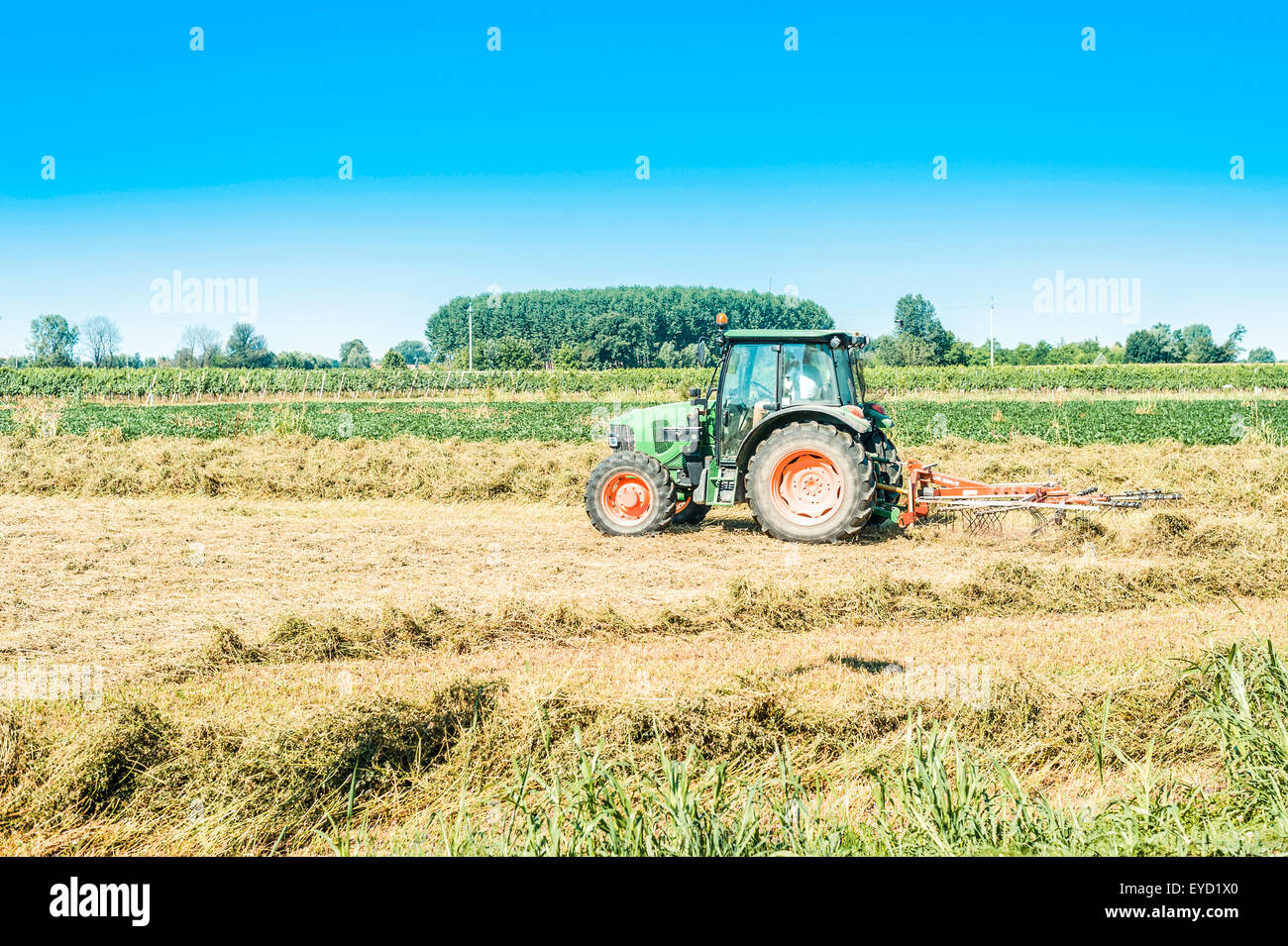 Arbeitsplätze in der Landwirtschaft Heuernte Traktor mit Zetten Ausrüstung Stockfoto