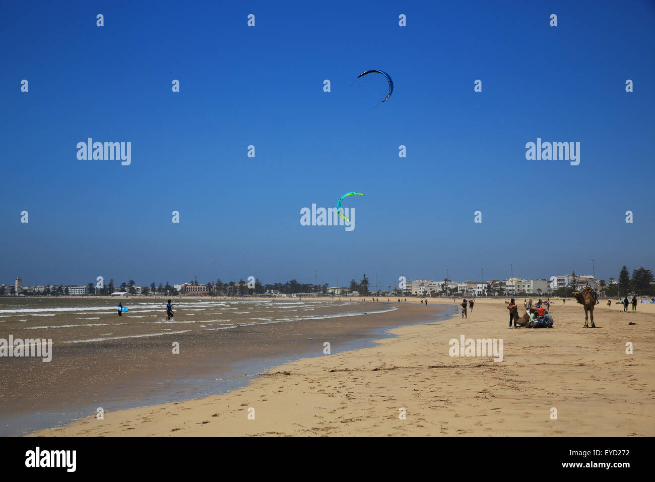 Essaouira Strand mit dem starken Wind "die Alizes", so dass gute Bedingungen für Kite-Surfen in Marokko, Nordafrika Stockfoto