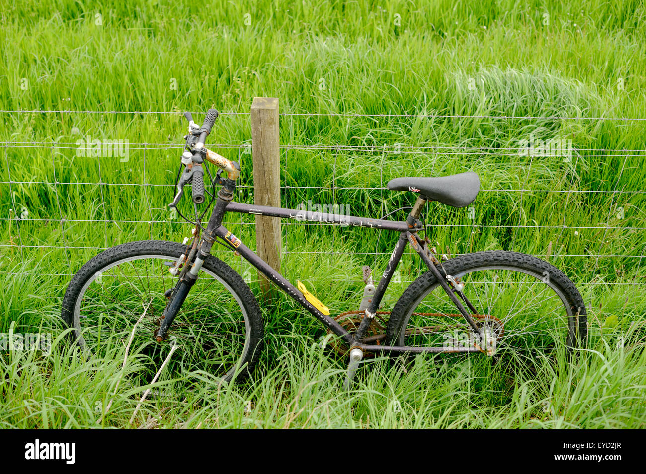 Fahrrad in einem Feld in der Nähe von Wick. Stockfoto