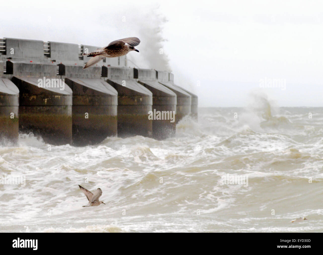 Brighton, East Sussex, Großbritannien. Juli 2015. Starker Wind und raues Meer an der Südküste Stockfoto