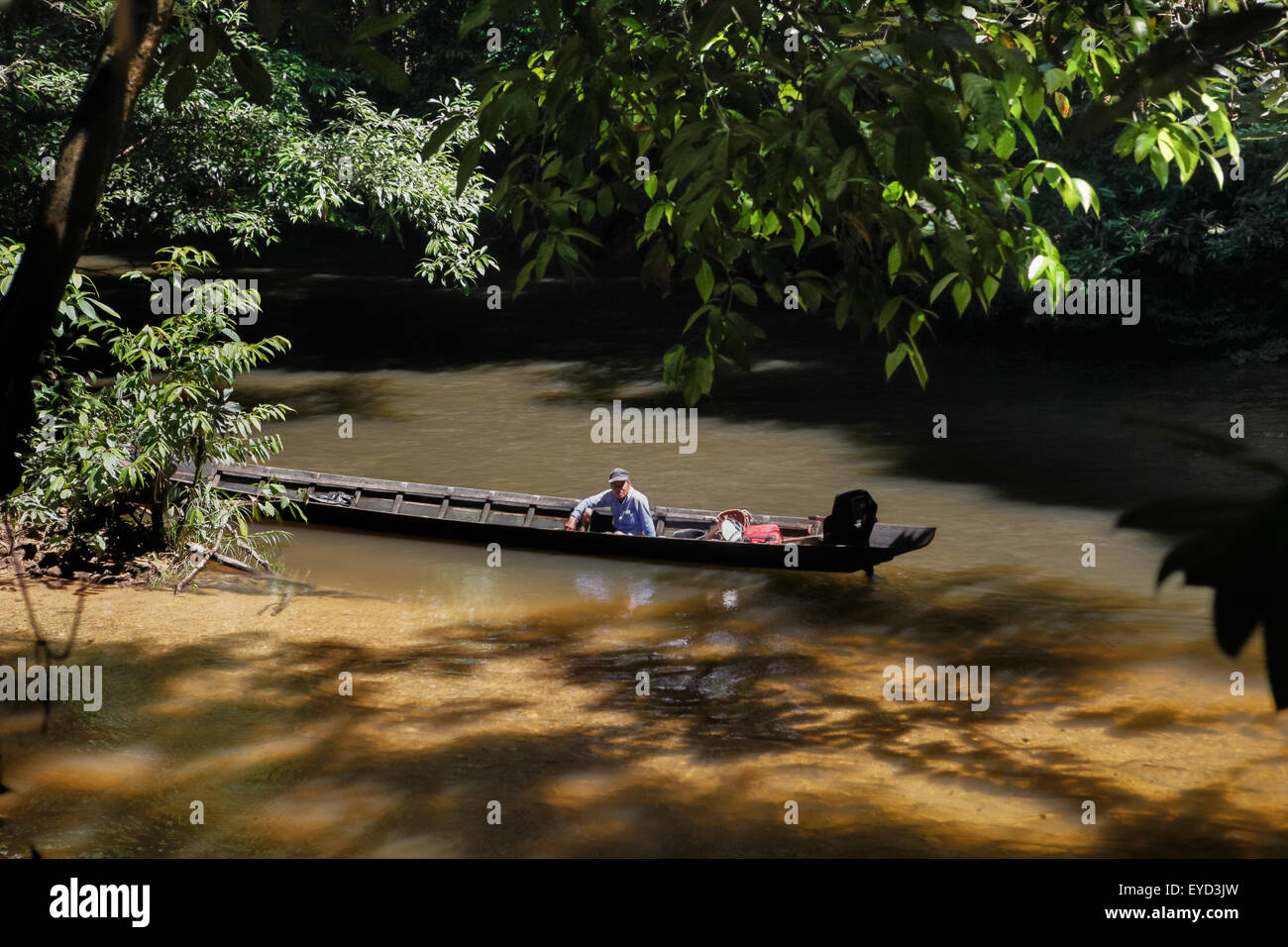 Ramping, ein ältester der traditionellen Dayak IBAN Longhouse Gemeinde, wartet auf einem Longboat während einer Reise in Sungai Utik, West Kalimantan, Indonesien. Stockfoto