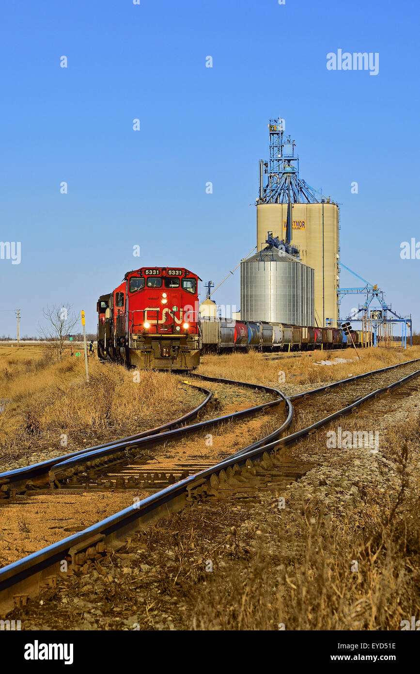 Ein vertikales Bild eines kanadischen nationalen Güterzugs Korn Autos auf die Getreide-Silos werden geladen Stockfoto