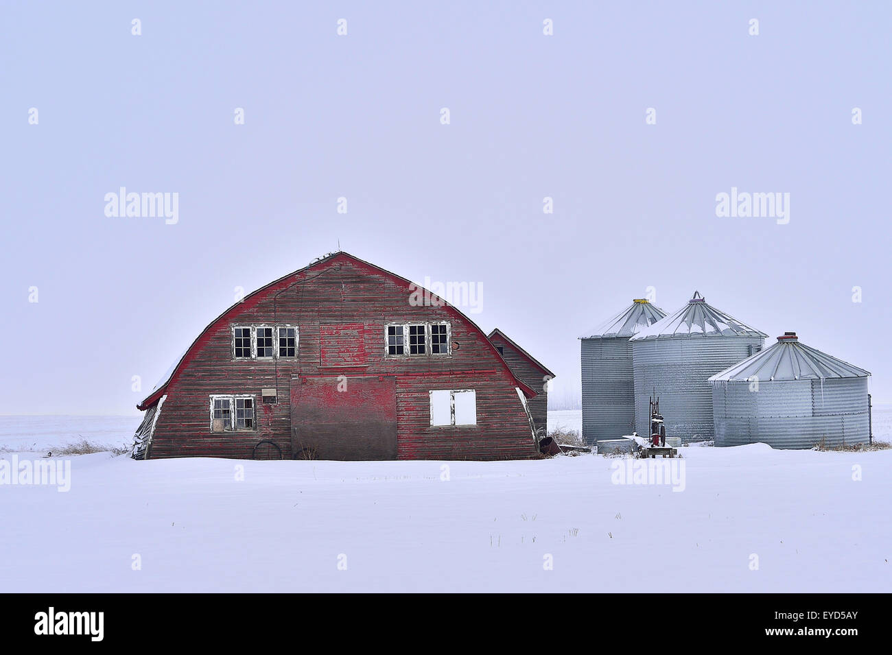 Eine alte rote Scheune auf einem Bauernhof im ländlichen Alberta mit Stahl Getreidelagerung wirft auf einem weißen Wintertag in ländlichen Alberta, Kanada. Stockfoto
