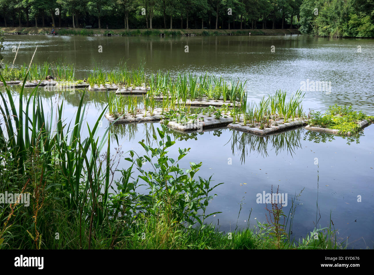 Künstliche Inseln mit Vegetation im Teich für Fische zum Laichen