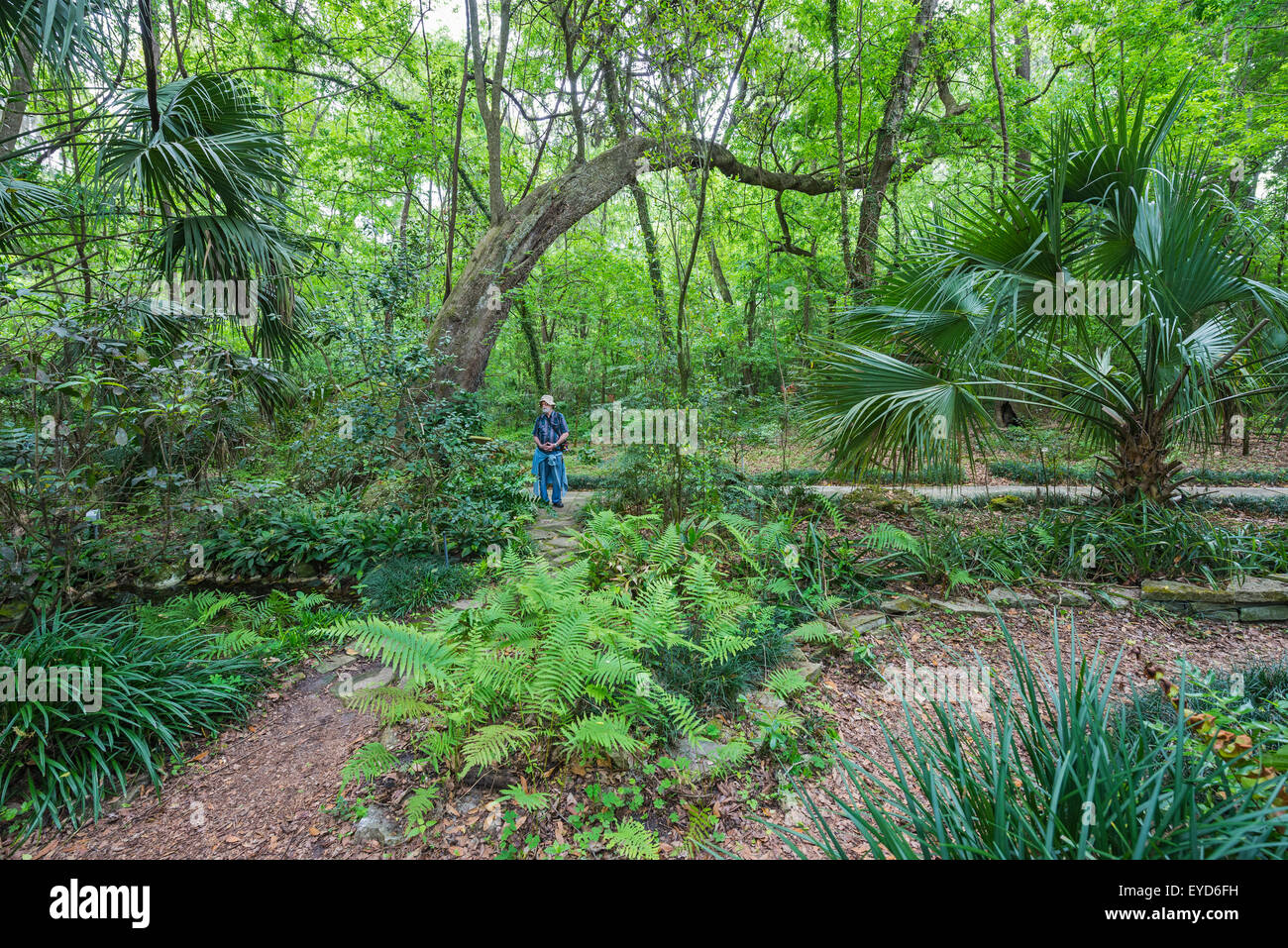 Jährlichen Spring Garden Festival in Kanapaha botanischen Gärten in Gainesville, Florida. Stockfoto